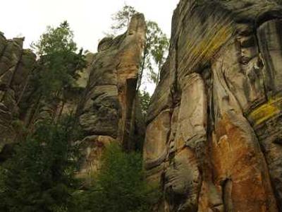 阿勒泰地区网站建设的多少价格?